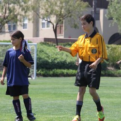 The Ref